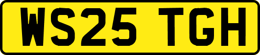 WS25TGH