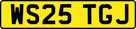 WS25TGJ