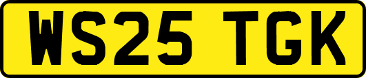 WS25TGK