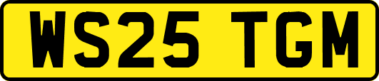WS25TGM