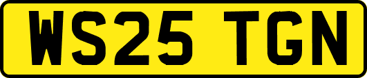 WS25TGN