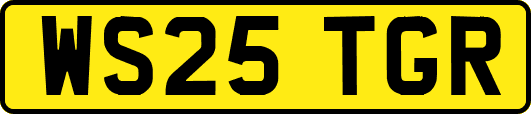 WS25TGR