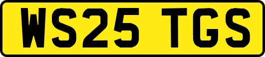 WS25TGS