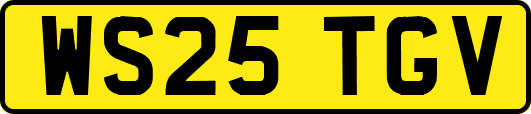 WS25TGV