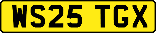 WS25TGX