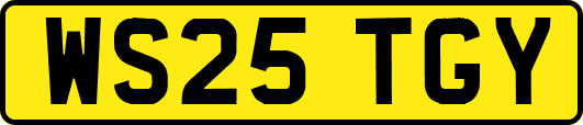 WS25TGY