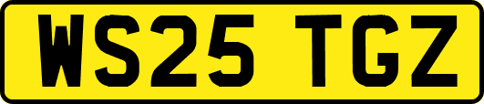 WS25TGZ