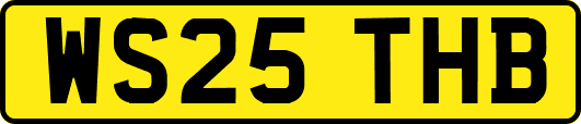 WS25THB