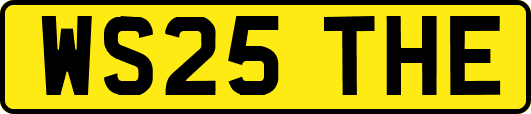 WS25THE
