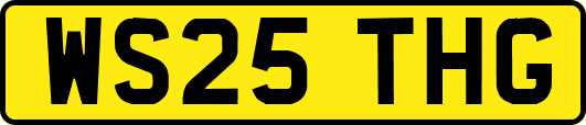 WS25THG