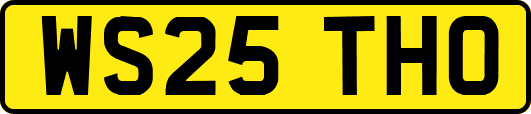 WS25THO