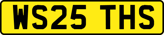 WS25THS
