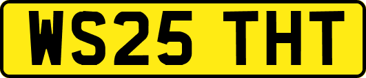 WS25THT