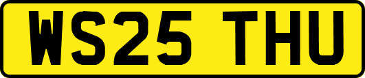WS25THU
