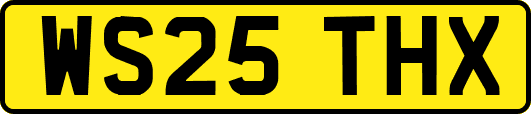 WS25THX
