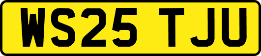 WS25TJU
