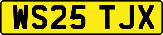 WS25TJX