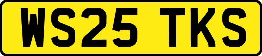 WS25TKS