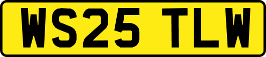 WS25TLW