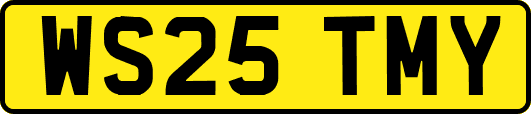 WS25TMY