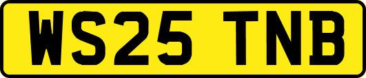 WS25TNB