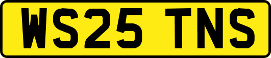 WS25TNS