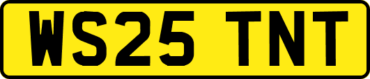 WS25TNT