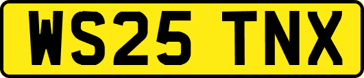 WS25TNX