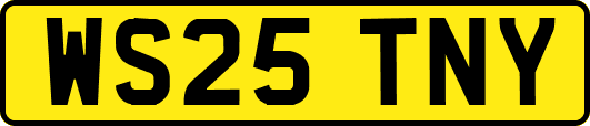 WS25TNY