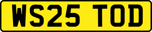 WS25TOD