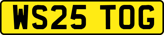 WS25TOG