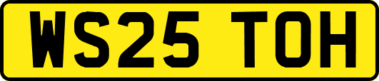 WS25TOH