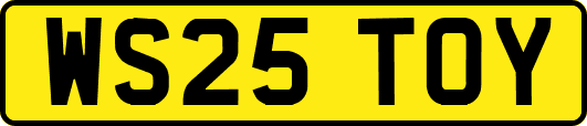 WS25TOY