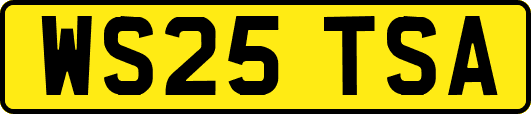 WS25TSA