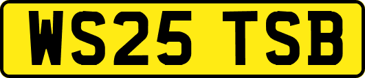 WS25TSB