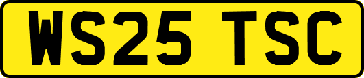 WS25TSC