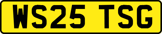 WS25TSG