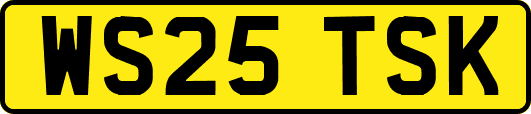 WS25TSK