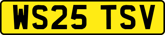 WS25TSV