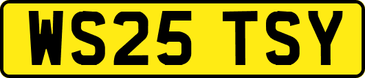 WS25TSY