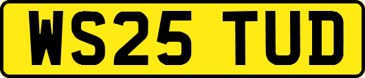 WS25TUD