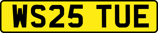 WS25TUE