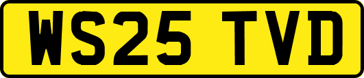 WS25TVD