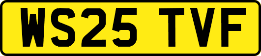 WS25TVF