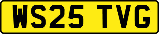 WS25TVG