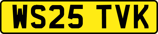WS25TVK