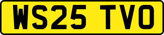 WS25TVO