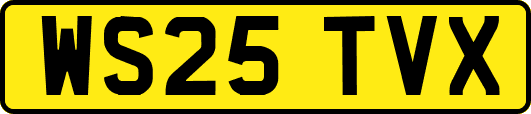 WS25TVX