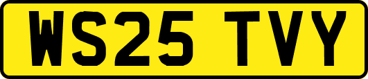 WS25TVY