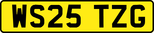 WS25TZG